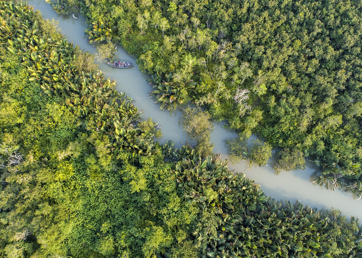 Middle_point_of_Sundarban